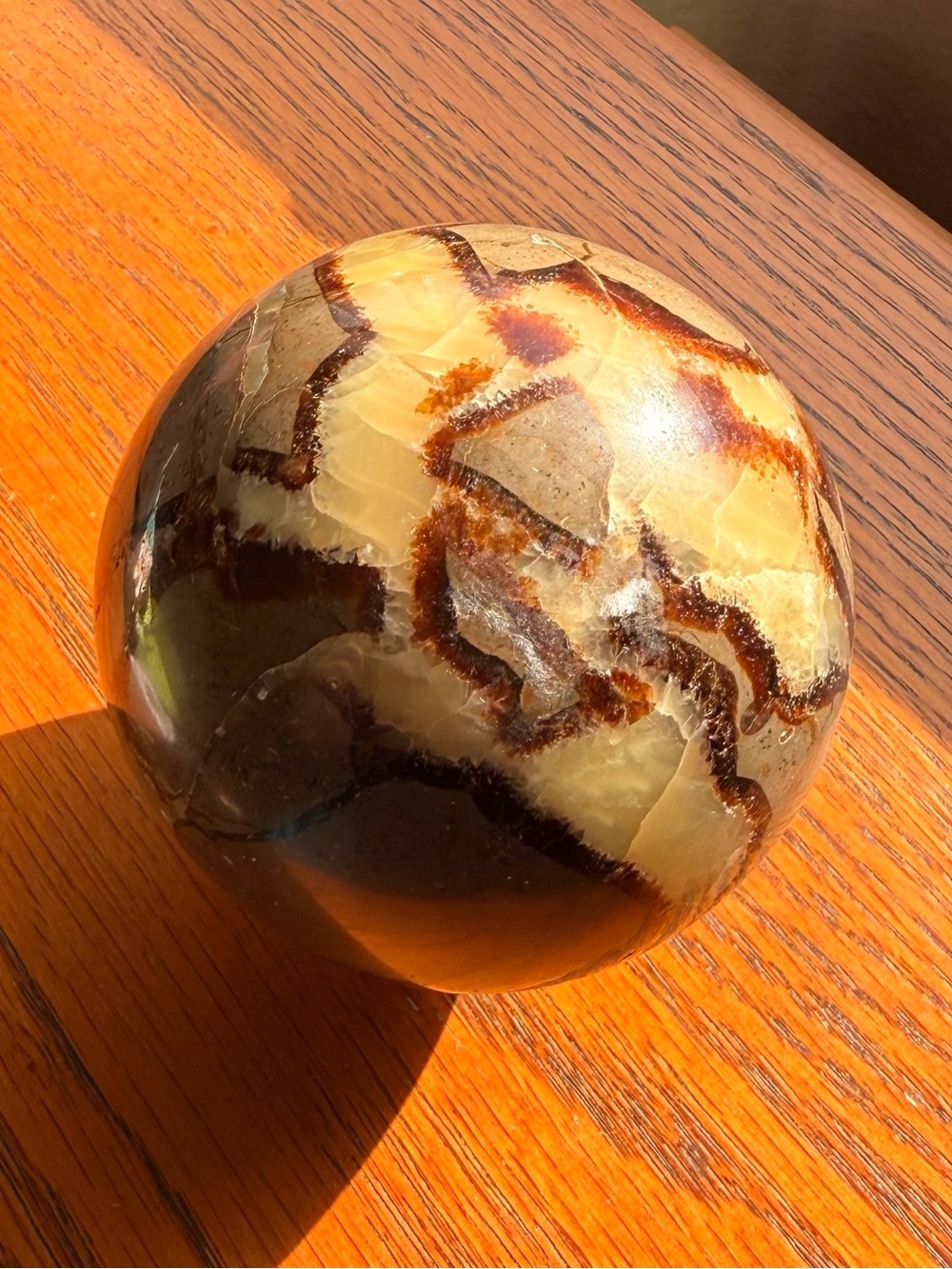 Polished Septarian Sphere • Brown & Cream Home Art